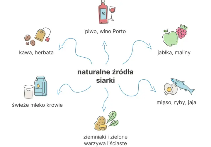 Naturalne źródła siarki: piwo, wino, kawa, herbata, jabłka, maliny, mleko, ziemniaki, warzywa liściaste, mięso, ryby, jaja. Czy siarka organiczna jest szkodliwa?