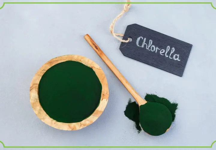 Chlorella tabletki na co pomaga? Zielony proszek w misce i na łyżce, obok tabliczka z napisem "Chlorella".