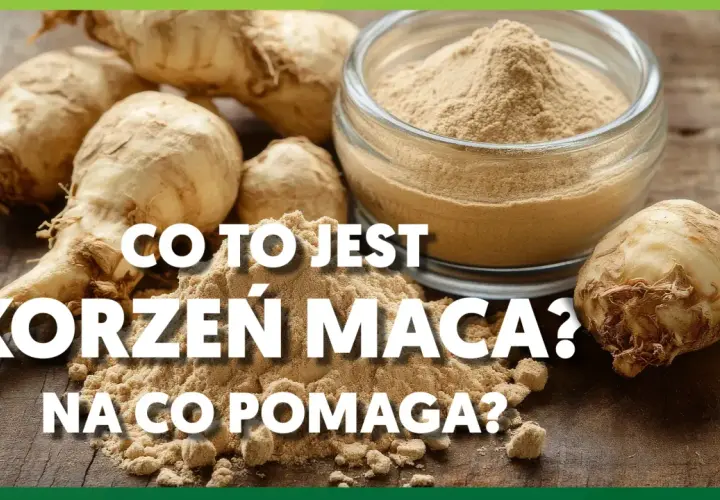 Korzeń maca i jego proszek na drewnianym blacie. Dowiedz się, co to jest korzeń maca i na co pomaga.
